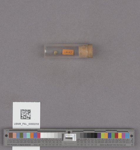 NSF ADBC EPICC TCN