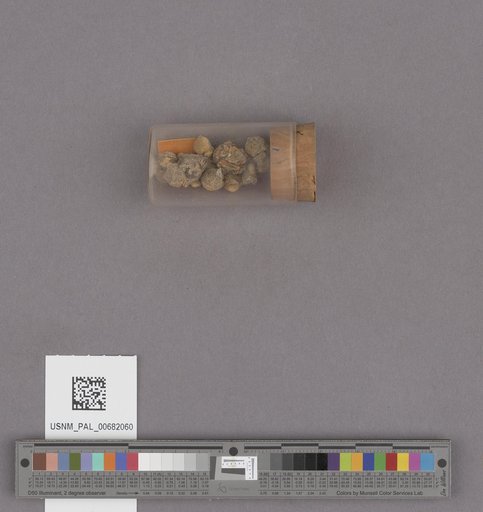 NSF ADBC EPICC TCN