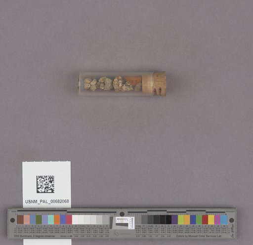 NSF ADBC EPICC TCN