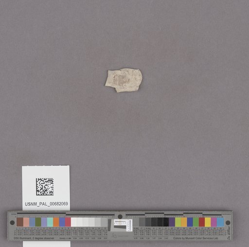 NSF ADBC EPICC TCN