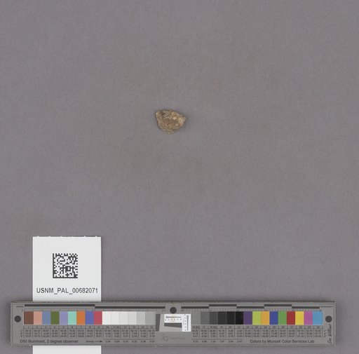 NSF ADBC EPICC TCN