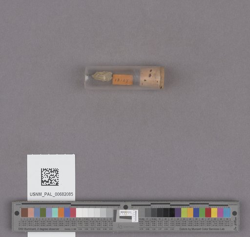 NSF ADBC EPICC TCN