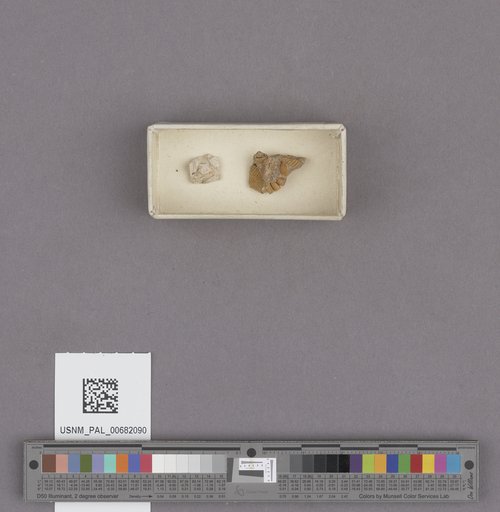 NSF ADBC EPICC TCN
