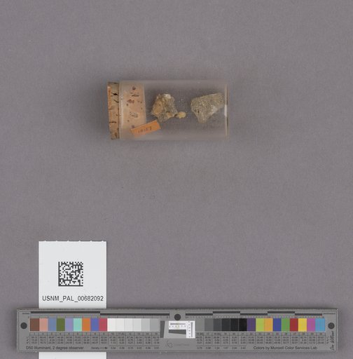 NSF ADBC EPICC TCN