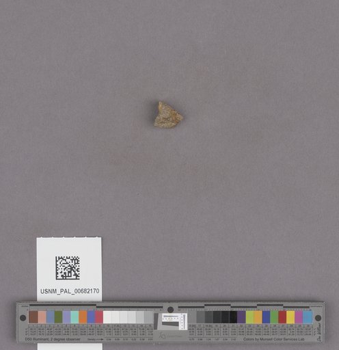 NSF ADBC EPICC TCN