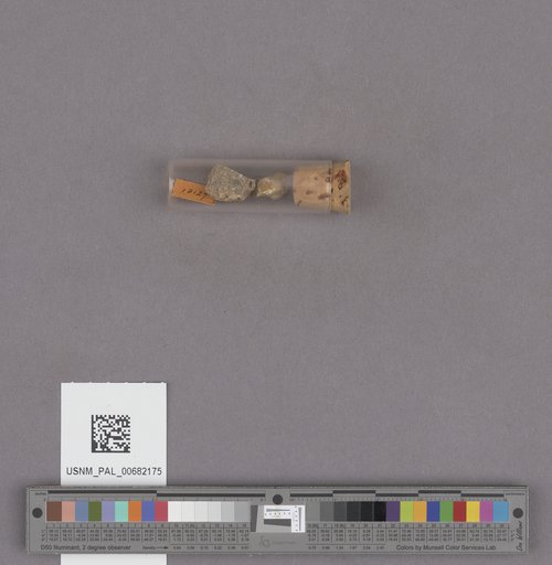 NSF ADBC EPICC TCN