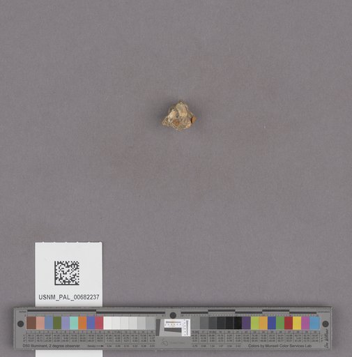 NSF ADBC EPICC TCN