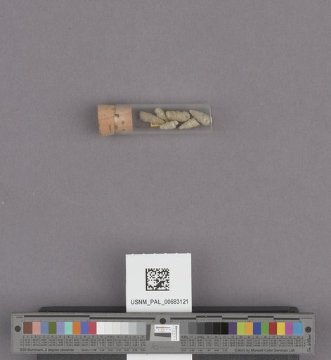 NSF ADBC EPICC TCN