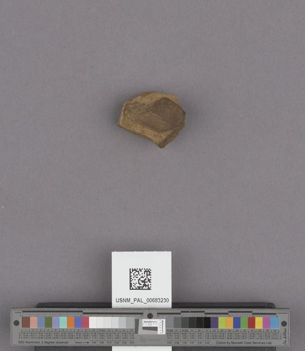NSF ADBC EPICC TCN