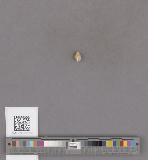 NSF ADBC EPICC TCN