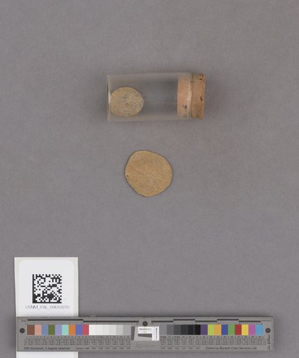 NSF ADBC EPICC TCN