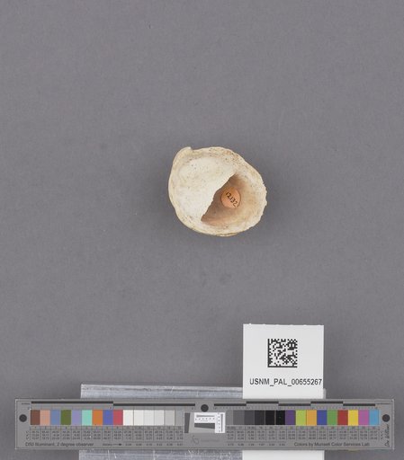 NSF ADBC EPICC TCN