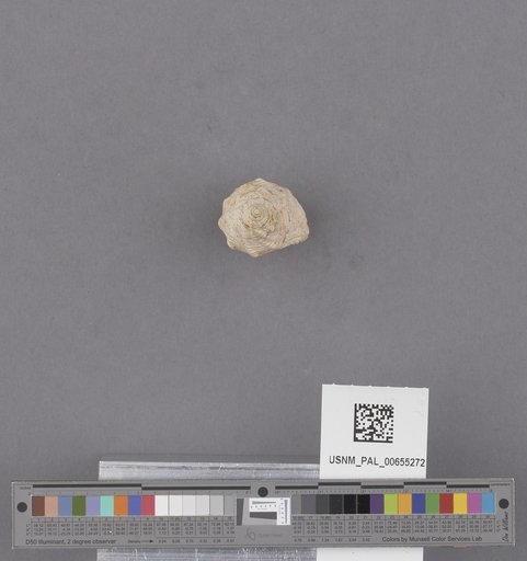 NSF ADBC EPICC TCN