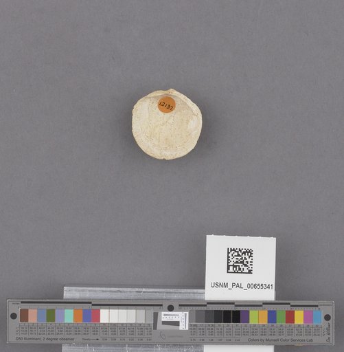 NSF ADBC EPICC TCN