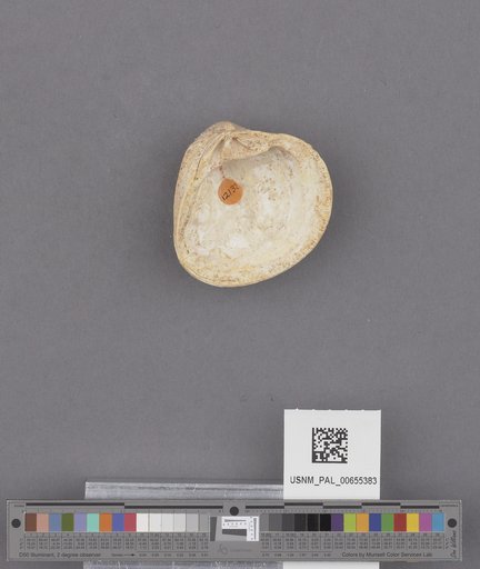 NSF ADBC EPICC TCN