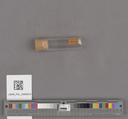 NSF ADBC EPICC TCN