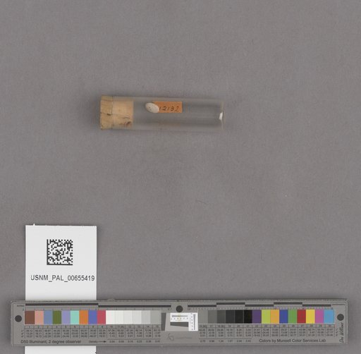 NSF ADBC EPICC TCN