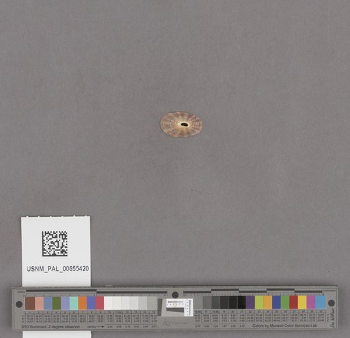 NSF ADBC EPICC TCN