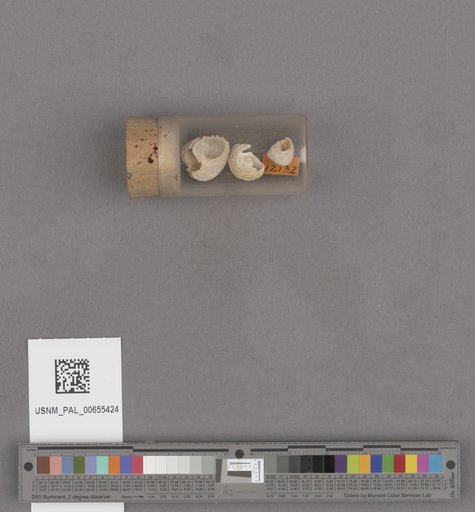 NSF ADBC EPICC TCN