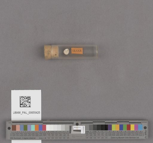 NSF ADBC EPICC TCN