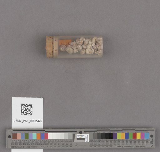 NSF ADBC EPICC TCN