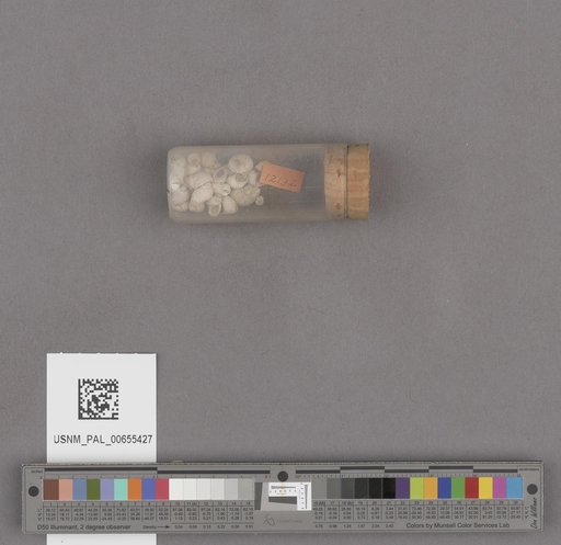 NSF ADBC EPICC TCN