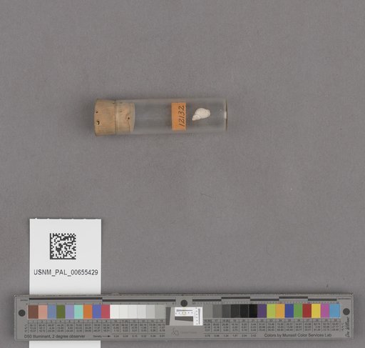 NSF ADBC EPICC TCN