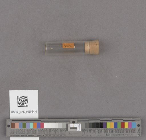 NSF ADBC EPICC TCN