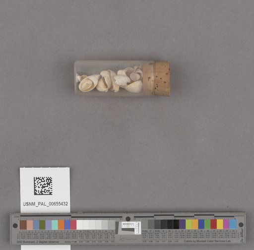 NSF ADBC EPICC TCN