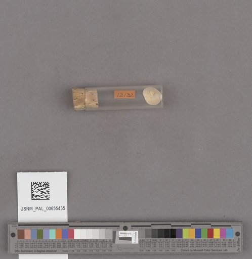 NSF ADBC EPICC TCN
