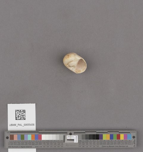 NSF ADBC EPICC TCN