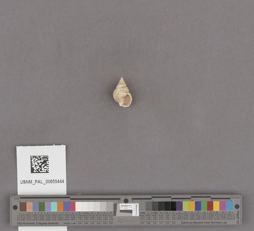NSF ADBC EPICC TCN