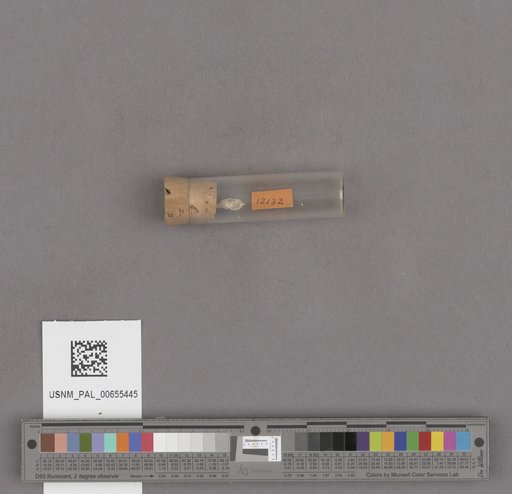 NSF ADBC EPICC TCN