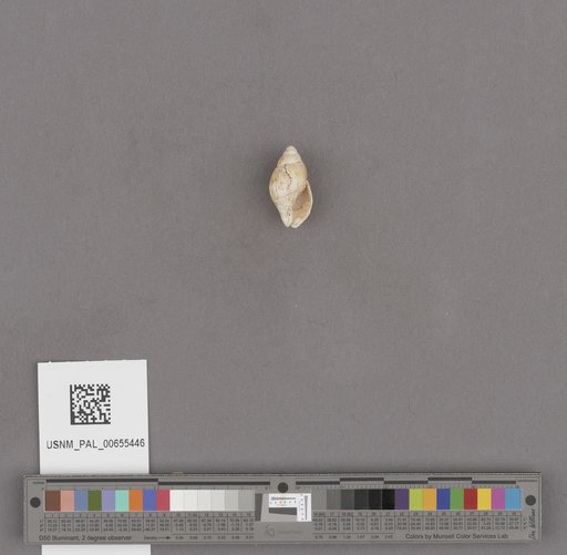NSF ADBC EPICC TCN