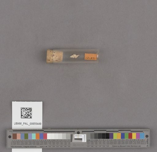 NSF ADBC EPICC TCN