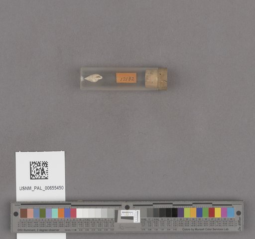 NSF ADBC EPICC TCN