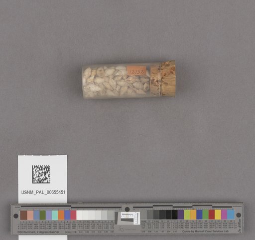 NSF ADBC EPICC TCN