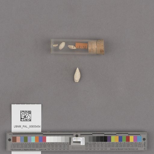 NSF ADBC EPICC TCN