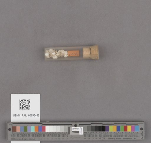 NSF ADBC EPICC TCN