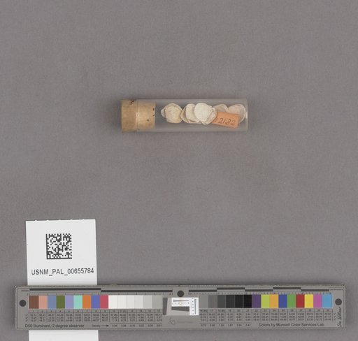 NSF ADBC EPICC TCN