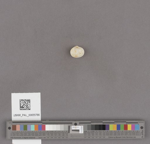 NSF ADBC EPICC TCN