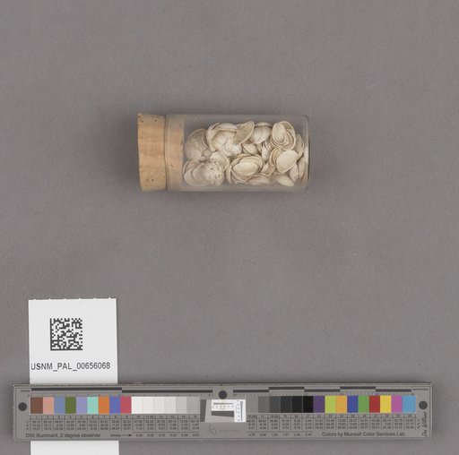 NSF ADBC EPICC TCN