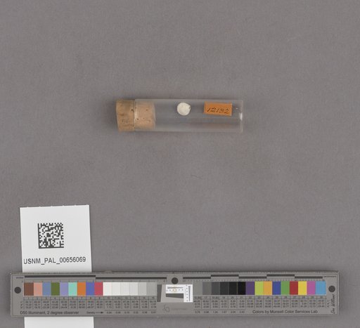 NSF ADBC EPICC TCN