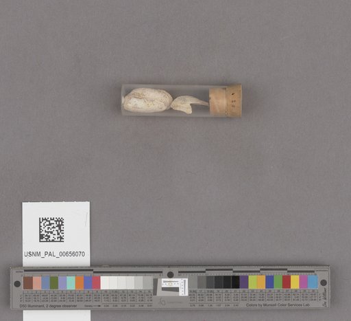NSF ADBC EPICC TCN