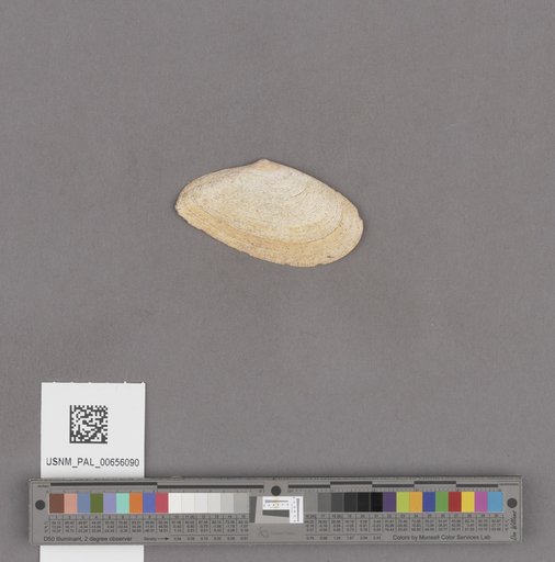 NSF ADBC EPICC TCN