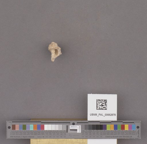 NSF ADBC EPICC TCN