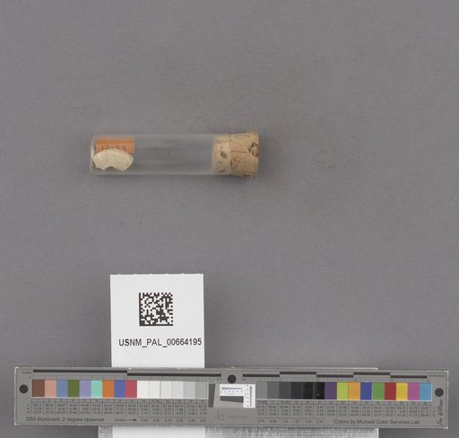 NSF ADBC EPICC TCN