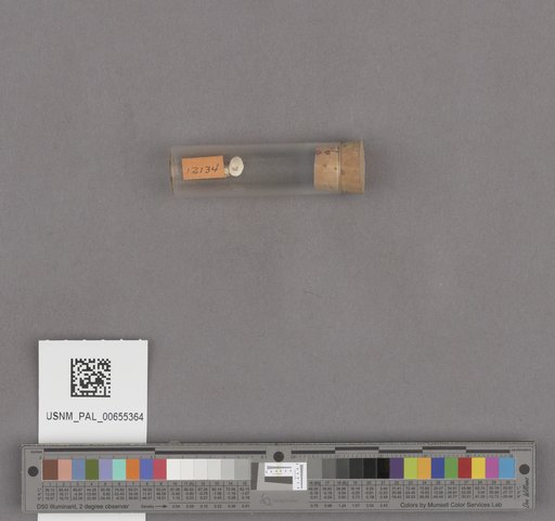 NSF ADBC EPICC TCN