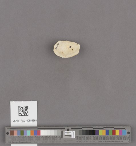 NSF ADBC EPICC TCN