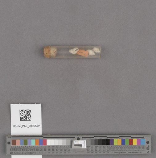 NSF ADBC EPICC TCN